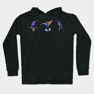 Violet Saberwing Hummingbirds in Watercolor Hoodie